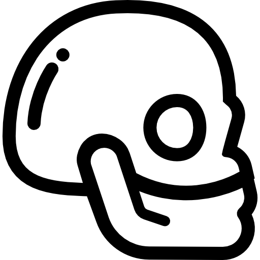 Human Skull